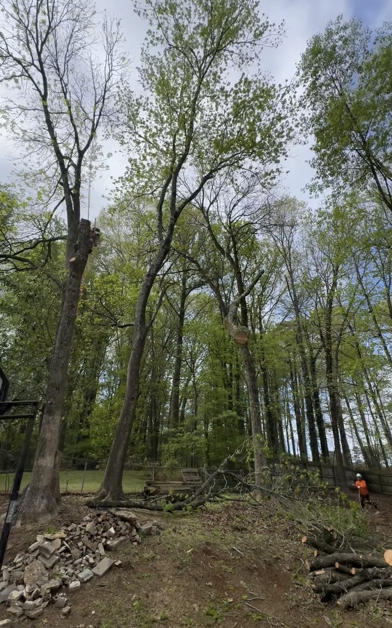 Local tree service crew working in Grand Island community